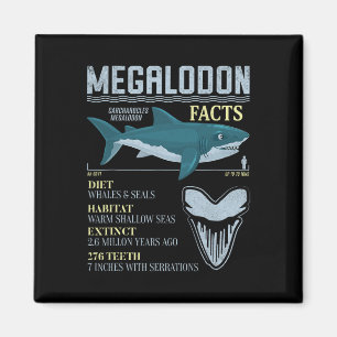 Aimant Faits sur Mégalodon Meg Fossile de Dent de Requin