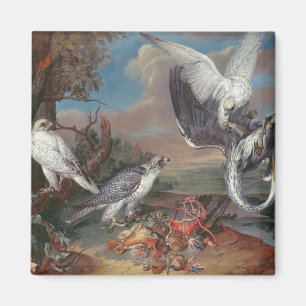 Aimant Falcons du Groenland Cyr