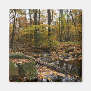 Aimant Fall Creek avec réflexion à Laurel Hill Park