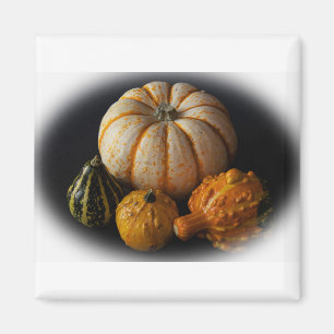 Aimant Fall gourds and pumpkin