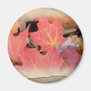 Aimant Fall Maple Leaves Coordinating Items