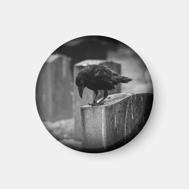 Aimant Falln Cemetery Crow (Devant)