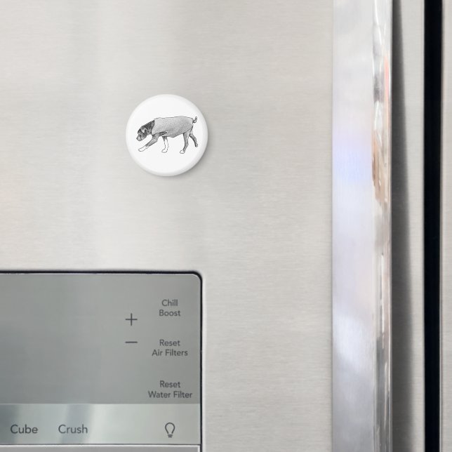 Aimant Familiar Paths Remembered (In situ (réfrigérateur))