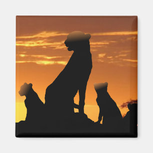 Aimant Famille Cheetah