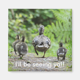 Aimant Famille de canard