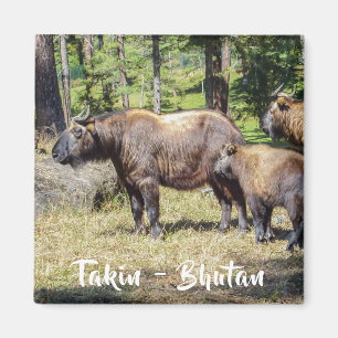 Aimant Famille de Takin, animal national du Bhoutan, Asie