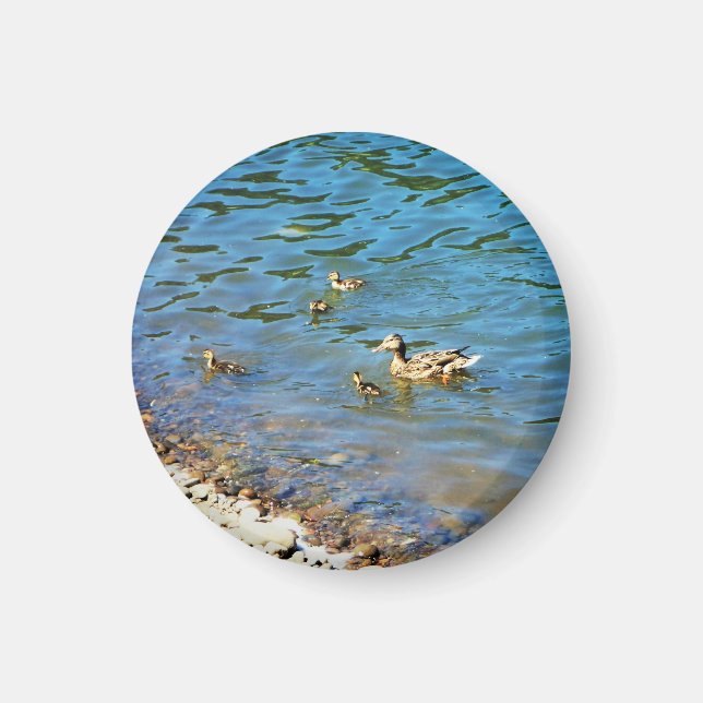 Aimant Famille des Canards (Devant)