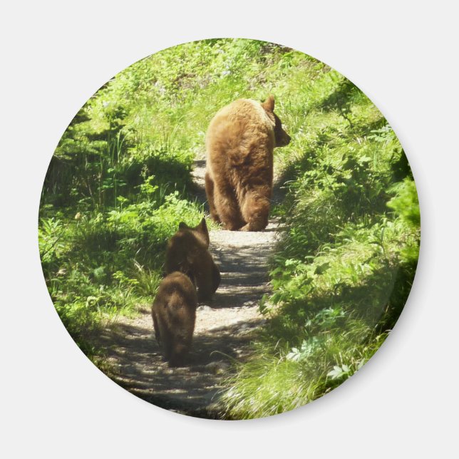 Aimant Famille d'ours brun (Devant)
