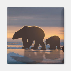 Aimant Famille d'ours polaires