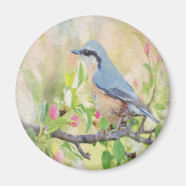 Aimant Fanatique d'oiseaux (Devant)