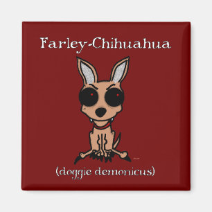 Aimant Farley-Chihuahua