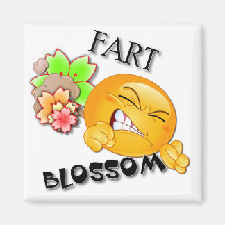 Aimant Fart-Blossom