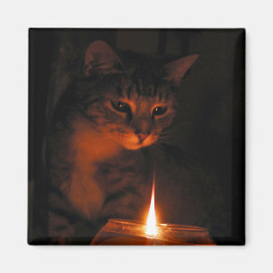 Aimant fasciné par la flamme