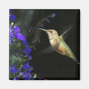 Aimant Faune animale d'oiseau de colibri florale