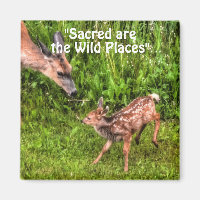 Faune sauvage de cerfs pour les amateurs de plein
