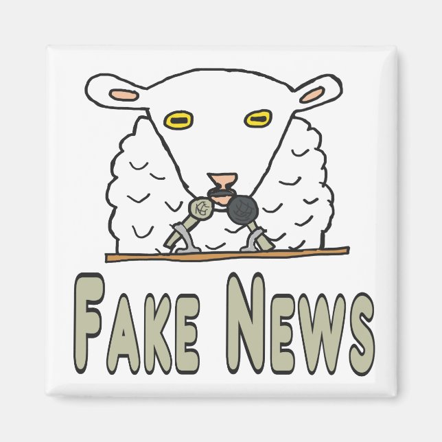 Aimant Faux News (Devant)