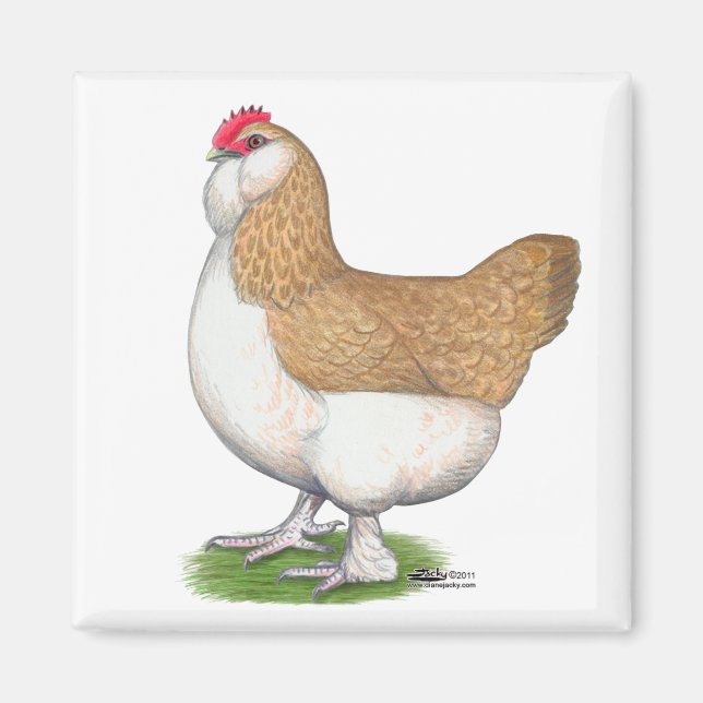 Aimant Faverolle Hen (Devant)