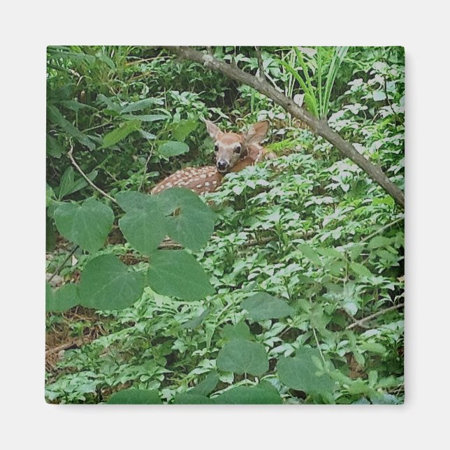 Aimant FAWN en Feuilles de coeur vert — (Devant)