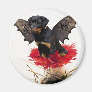 Aimant féerique de chien de rottweiler