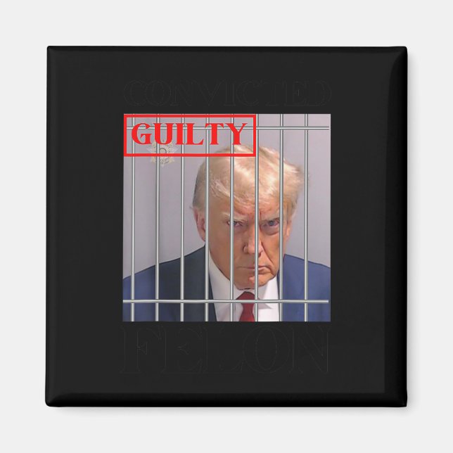 Aimant Felon Donald Trump Coupable De Le Verrouiller Dans (Devant)