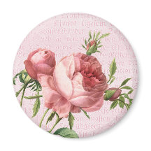Feminine et belle vintage rose rose