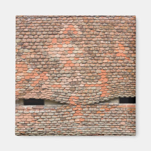 Aimant Fenêtres dorées à l'oeil dans un toit carrelé