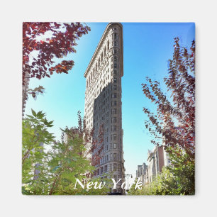 Aimant Fer plat, New York
