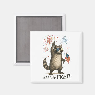 Aimant Feral Mais Fireworks Gratuit Feral Raccoon 4 juill