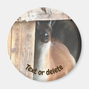 Aimant Ferme de lama personnalisée