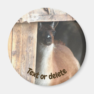 Aimant Ferme de lama personnalisée