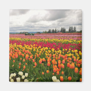 Aimant Ferme de Tulip