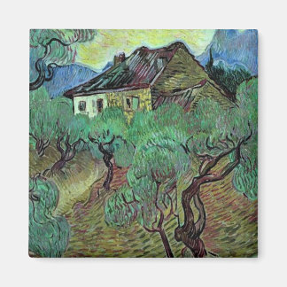 Aimant Ferme Parmi Oliviers Van Gogh Art