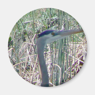 Aimant Fermer et personnel