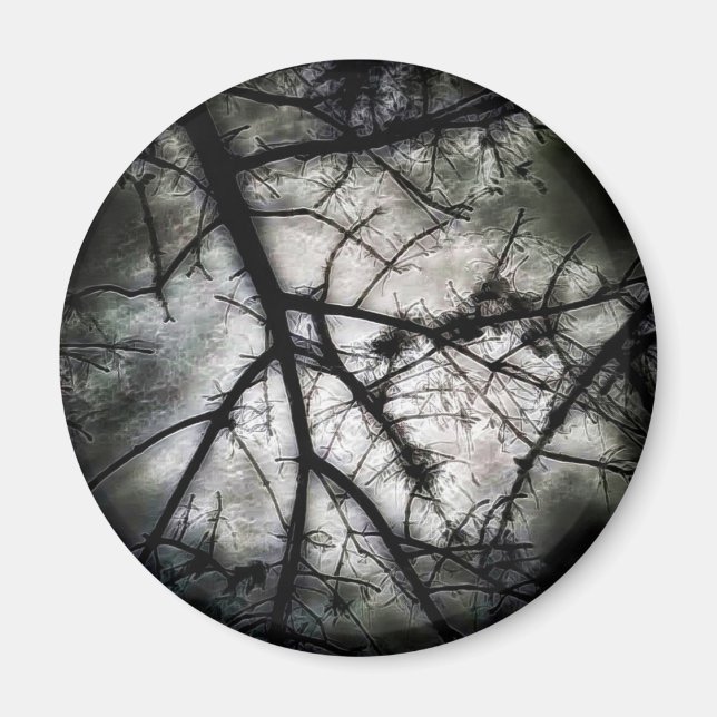 Aimant Fermeture (Devant)