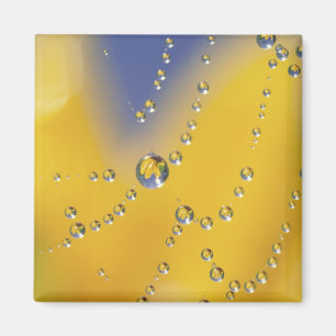 Aimant Fermeture de la toile d'araignée avec des gouttes