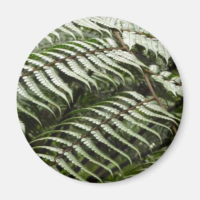 Aimant Fern Fronds II Dark Green Nature (Devant)