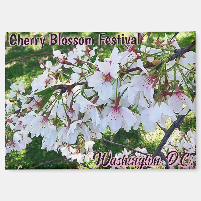Aimant Festival des fleurs de cerisier Washington D.C. Ma (Recto)