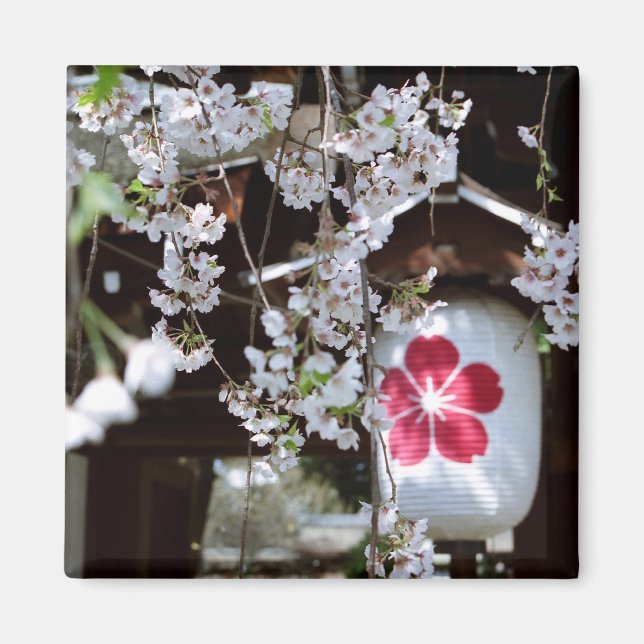 Aimant Festival des fleurs de cerisiers à Kyoto (Devant)