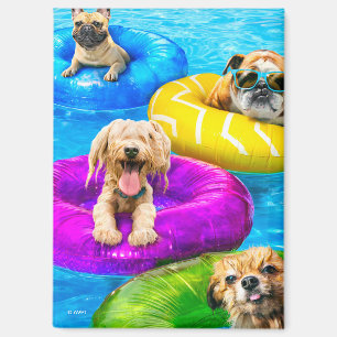 Aimant Fête au bassin pour chiens