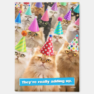 Aimant Fête de chats