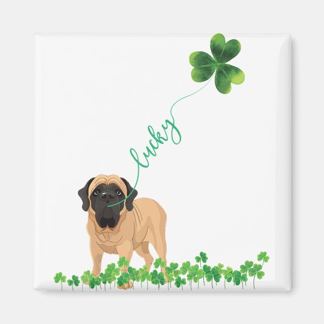 Aimant Fête de la Saint Patrick du Shamrock Ma Dog (Devant)