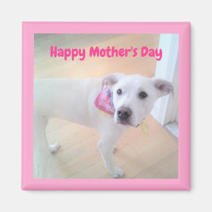 Aimant Fête des Mères mignonne Chien Chien Chien Blanc Ro
