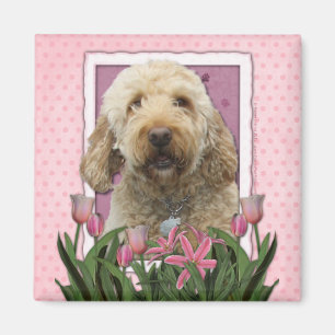 Aimant Fête des mères - Tulipes roses - Goldendoodle