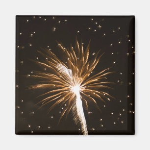 Aimant Feu d'artifice sur la rivière Savannah