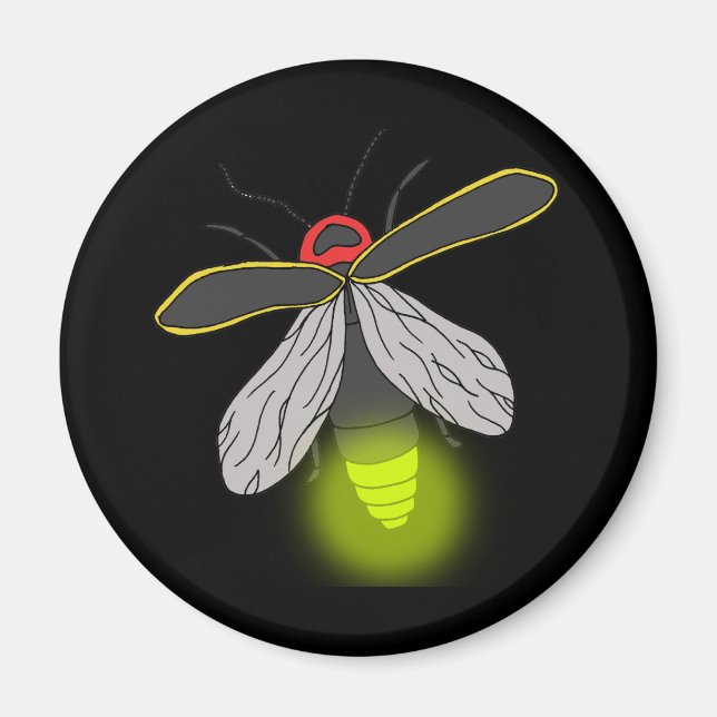 Aimant feu de vol de bogue (Devant)