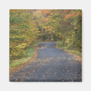 Aimant Feuillage d'automne au bord de la route, Vermont d
