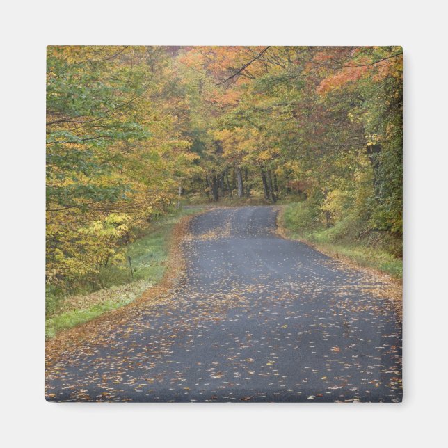 Aimant Feuillage d'automne au bord de la route, Vermont d (Devant)