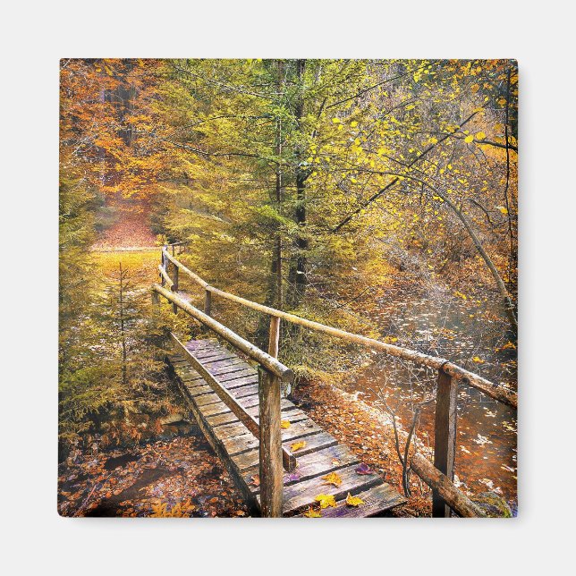 Aimant Feuillage d'automne, couleurs de l'automne, (Devant)