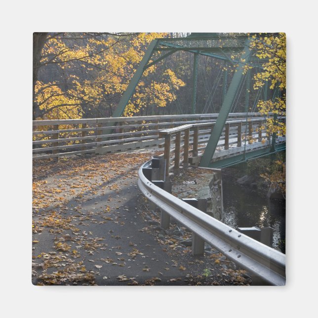 Aimant Feuillage d'automne et un pont sur les Millers (Devant)