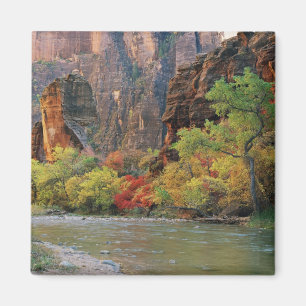 Aimant Feuillage d'automne le long de la rivière Virgin p